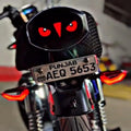 Multicolor Eyes Back Light for CG-125 & CD-70 (With any Free Gift)