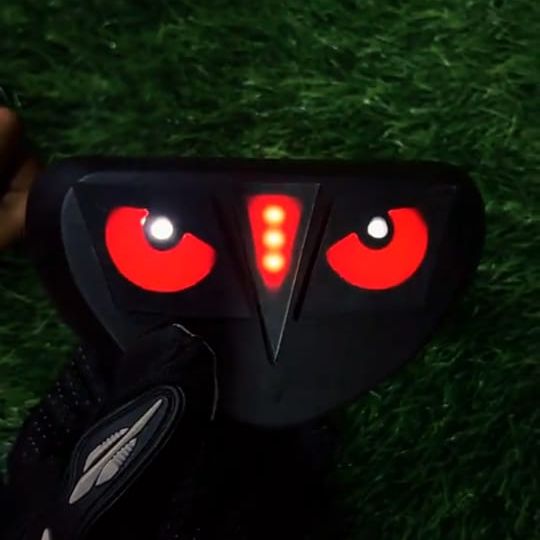 Multicolor Eyes Back Light for CG-125 & CD-70 (With any Free Gift)